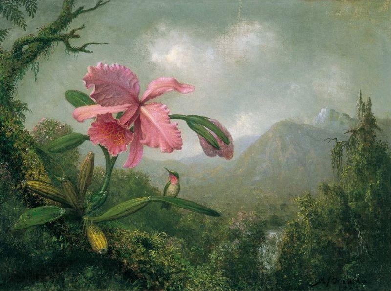 Martin Johnson Heade Orchid and Hummingbird near a Mountain Waterfall Spain oil painting art